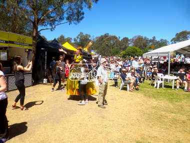 Photograph, Jim Connor, Eltham Festival, Alistair Knox Park, 9 Nov 2014