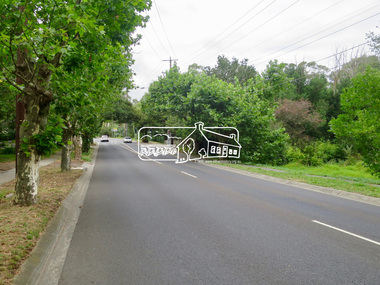 Photograph, Jim Connor, Avenue of Honour, Main Road, Eltham, 14 Jan 2017