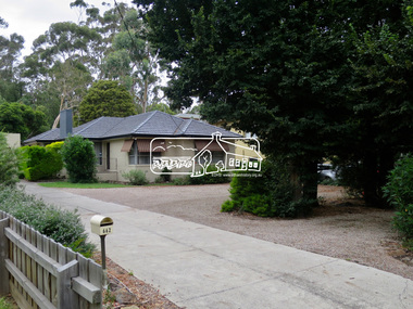 Photograph, Jim Connor, Avenue of Honour, Main Road, Eltham, 14 Jan 2017