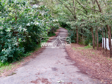Photograph, Jim Connor, Avenue of Honour, Main Road, Eltham, 14 Jan 2017