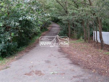 Photograph, Jim Connor, Avenue of Honour, Main Road, Eltham, 14 Jan 2017