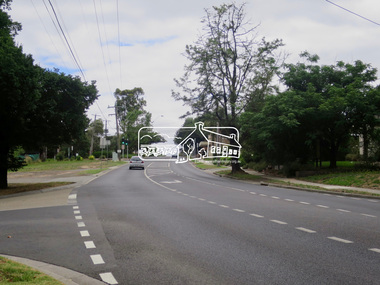 Photograph, Jim Connor, Avenue of Honour, Main Road, Eltham, 14 Jan 2017