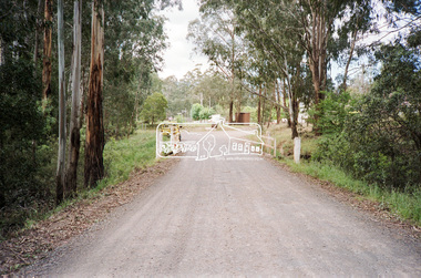 Negative - Photograph, Cottlesbridge-Strathewen Road, Strathewen, c.Nov. 1987