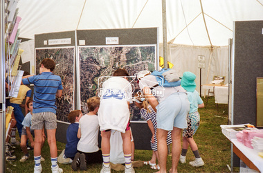 Negative - Photograph, Eltham Shire Council display, 1987 Eltham Community Festival, Alistair Knox Park, 7 Nov. 1987