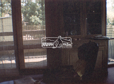 Negative - Photograph, Open Day, Eltham Living and Learning Centre, 7 Nov 1987