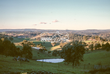 Slide - Photograph, Wet Gully, Diamond Creek, c.May 1988