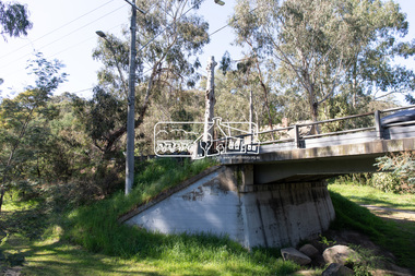 Photograph, Peter Pidgeon, Manna Gum, Main Road, Eltham South, 8 Sep. 2021