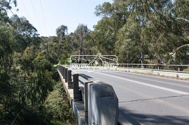 Photograph, Peter Pidgeon, Manna Gum, Main Road Bridge, Eltham South, 8 Sep. 2021