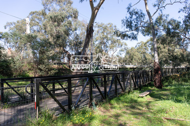 Photograph, Peter Pidgeon, Manna Gum, Main Road Bridge, Eltham South, 8 Sep. 2021