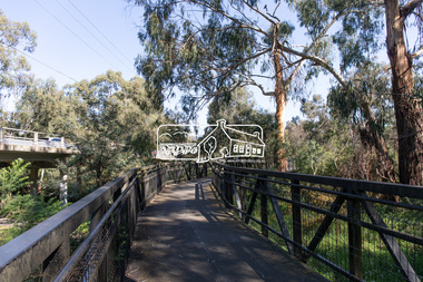 Photograph, Peter Pidgeon, Manna Gums, Main Road Bridge, Eltham South, 8 Sep. 2021