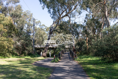 Photograph, Peter Pidgeon, Manna Gum, Main Road Bridge, Eltham South, 8 Sep. 2021