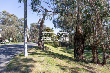 Photograph, Peter Pidgeon, Manna Gum, Main Road Bridge, Eltham South, 8 Sep. 2021