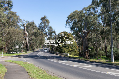 Photograph, Peter Pidgeon, Manna Gum, Main Road Bridge, Eltham South, 8 Sep. 2021