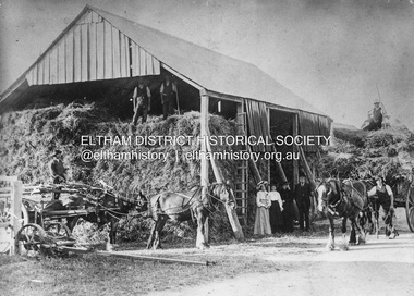 Photograph, Haybarn at Pigeon Bank, c.1900