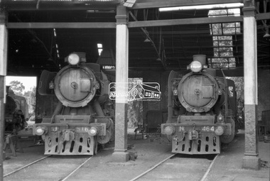Photograph, Steam locomotives J-516, and N-464 in the locomotive workshop at Seymour Railway Station, c.May 1963