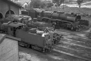 Photograph, Steam locomotives K-185, J-508 and R-727 outside the locomotive workshop, Echuca Railway Station, c.Aug. 1963
