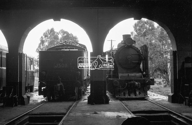 Photograph, Steam locomotives K-185 and J-508 outside the locomotive workshop, Echuca Railway Station, c.Aug. 1963