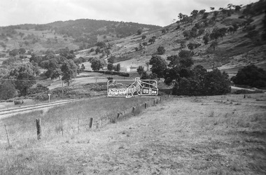 Photograph, George Burton Coop, Steam locomotive K-157 at Trawool Gap on the Tallarook-Mansfield-Alexandria branch line, c.1949