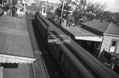 Photograph, George Coop, Surrey Hills Railway Station, c.1951