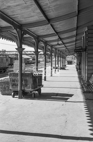 Photograph, George Coop, Echuca Railway Station, c.1962