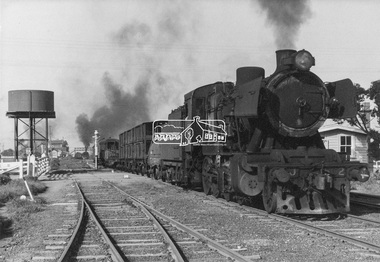 Photograph, George Coop, Steam locomotive J-502 hauling a specialist plant track repair and goods recovery train departing Echuca, Aug. 1963