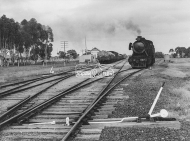 Photograph, George Coop, Steam locomotive J-507 shunting at Barnes Railway Station, NSW, Aug. 1963