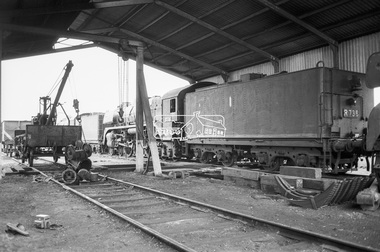 Photograph, George Coop, Steam locomotive R-736 at the Ararat Locomotive Shed, c.1971