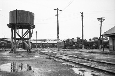 Photograph, George Coop, Ararat Locomotive Shed, c.1971