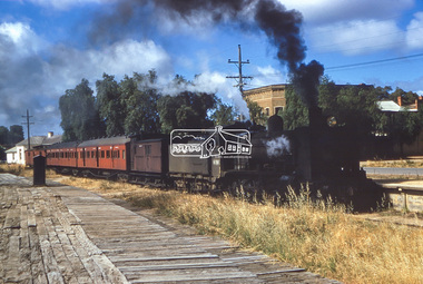 Photograph, George Coop, Steam locomotive K-158 with School train at Echuca Wharf Railway Station, 1960
