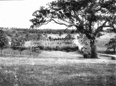 Negative - Photograph, Coghill & Haughton, On the banks of the Plenty, c.1924