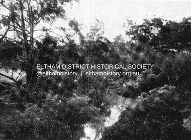 Negative - Photograph, Coghill & Haughton, Plenty River at Lower Plenty, c.1924