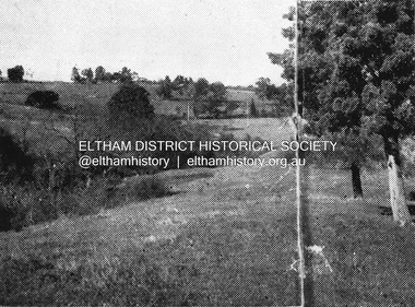 Negative - Photograph, Coghill & Haughton, Typical scene on the Plenty River at Lower Plenty, c.1924