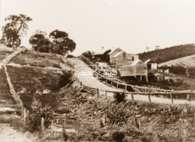 Photograph, Albert Jones, 'Golden Glen', home of photographer, Albert Jones, c.1910