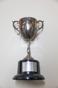 Award - Trophy, 1988 Eltham Festival Best Display Entry (Shire of Eltham Historical Society), 1988