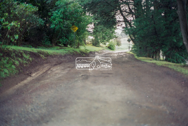 Negative - Photograph, Harry Gilham, Driveway, Memorial Park, Kangaroo Ground, Sep 2004