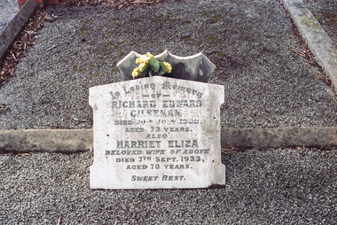 Negative - Photograph, Harry Gilham, Grave of Richard Edward Gilsenan and his wife, Harriet Eliza, Eltham Cemetery, Victoria, 1 Aug 2007