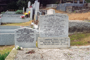 Negative - Photograph, Harry Gilham, Graves of George and Janet Bird and family, Eltham Cemetery, Victoria, 1 Aug 2007