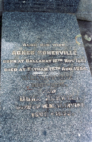 Negative - Photograph, Harry Gilham, Grave of William Hill and Agnes Somerville Irvine and family, Eltham Cemetery, Victoria, 1 Aug 2007