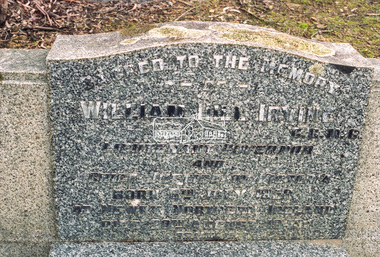 Negative - Photograph, Harry Gilham, Grave of William Hill and Agnes Somerville Irvine and family, Eltham Cemetery, Victoria, 1 Aug 2007