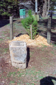 Negative - Photograph, Harry Gilham, Menin Gate Memorial Plaque and rock, Shire of Eltham Memorial Park, Kangaroo Ground, 1 Aug 2007