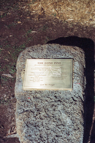 Negative - Photograph, Harry Gilham, Menin Gate Memorial Plaque and rock, Shire of Eltham Memorial Park, Kangaroo Ground, 1 Aug 2007