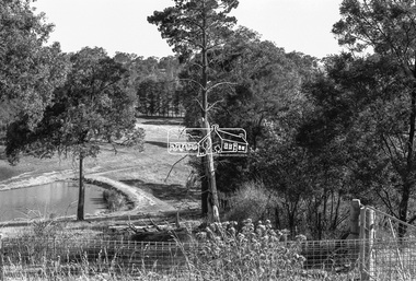 Negative - Photograph, Shire of Eltham, Eltham Meadows Estate, Zig Zag Road subdivision, Jan. 1980