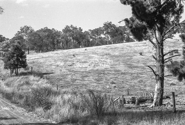 Negative - Photograph, Shire of Eltham, Eltham Meadows Estate, Zig Zag Road subdivision, Jan. 1980