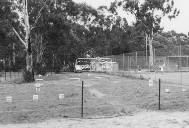 Photograph - Black and White Print, Shire of Eltham, Eltham Tennis Club, Andrew Park, Youth Road, Eltham, Jan. 1980