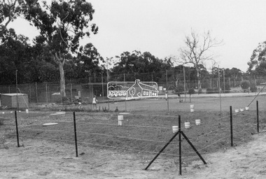 Photograph - Black and White Print, Shire of Eltham, Eltham Tennis Club, Andrew Park, Youth Road, Eltham, Jan. 1980