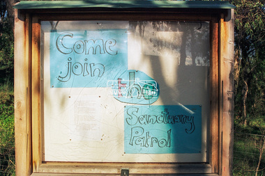 Photograph - Colour Print, Peter Pidgeon, Eltham East Primary School, Grove Street, Eltham, September 1999