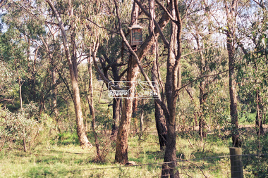 Photograph - Colour Print, Peter Pidgeon, Eltham East Primary School, Grove Street, Eltham, September 1999