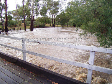 Photograph - Digital Photograph, Jim Connor, Brougham Street Bridge, Eltham in flood, 3 Feb 2005