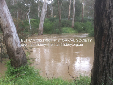 Photograph - Digital Photograph, Carlota Quinlan, Diamond Creek in flood, Diamond Creek Trail, Eltham South, 16 Oct 2021
