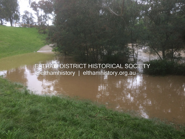 Photograph - Digital Photograph, Carlota Quinlan, Diamond Creek in flood, Diamond Creek Trail, Eltham South, 16 Oct 2021